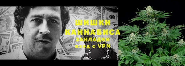 спайс Вяземский